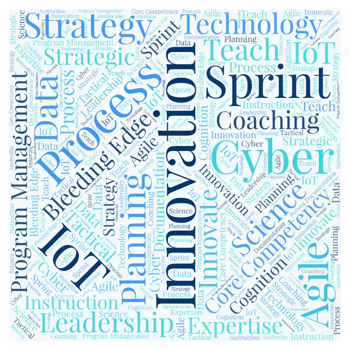 Word Cloud with Consulting Experience including Leadership, Innovation, Sprint, Process, Strategy, IoT and others